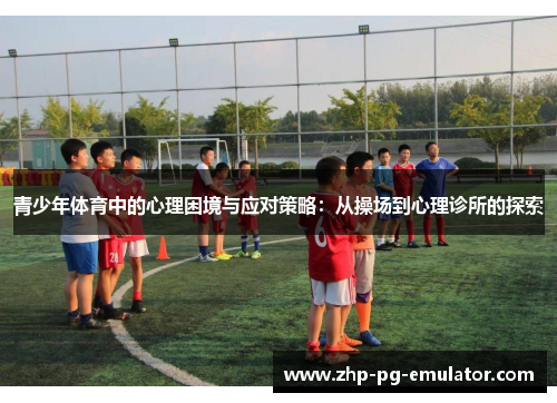 青少年体育中的心理困境与应对策略：从操场到心理诊所的探索